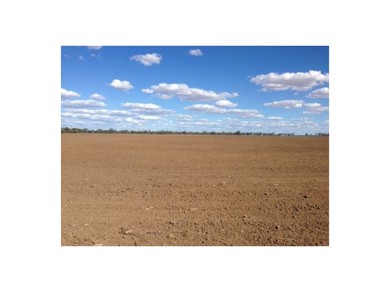 “Congewoi”   Come-By-Chance Road, Walgett NSW 2832