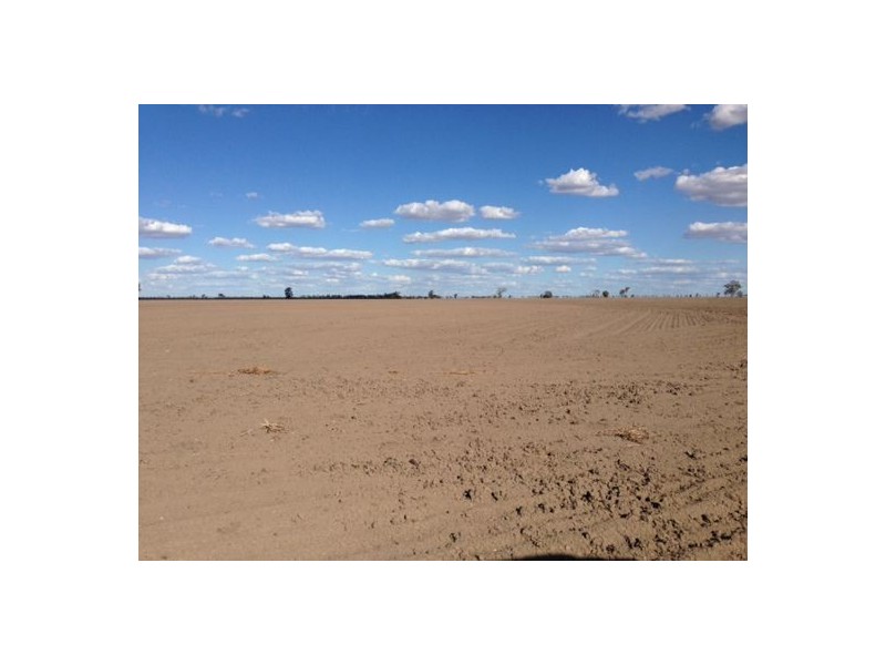 “Congewoi”   Come-By-Chance Road, Walgett NSW 2832