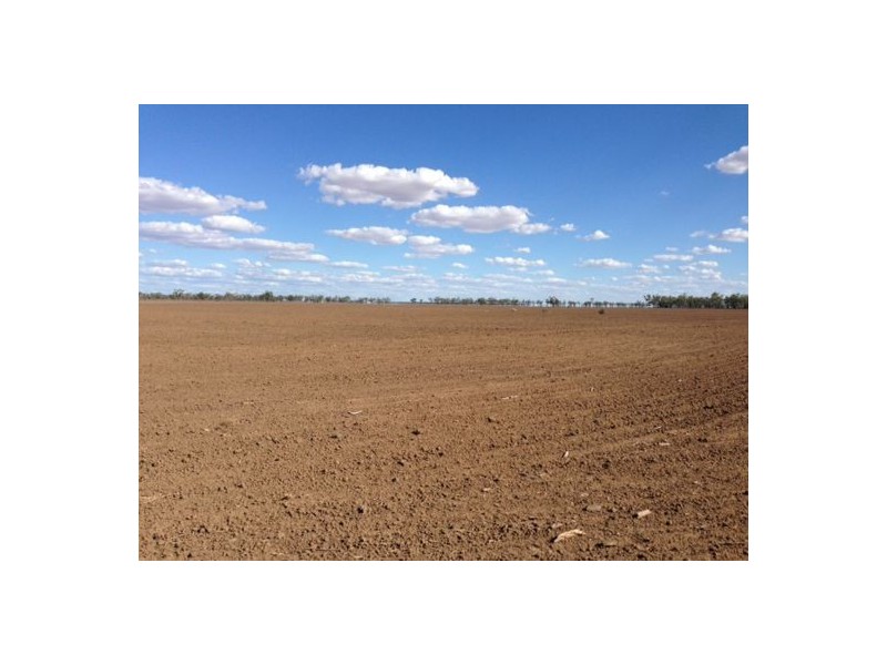 “Congewoi”   Come-By-Chance Road, Walgett NSW 2832