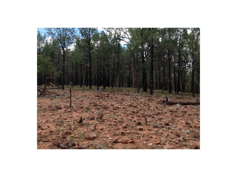 “Brookhill”, Walgett NSW 2832