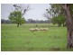 “Malabar”, Walgett NSW 2832