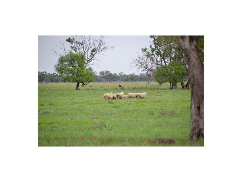 “Malabar”, Walgett NSW 2832