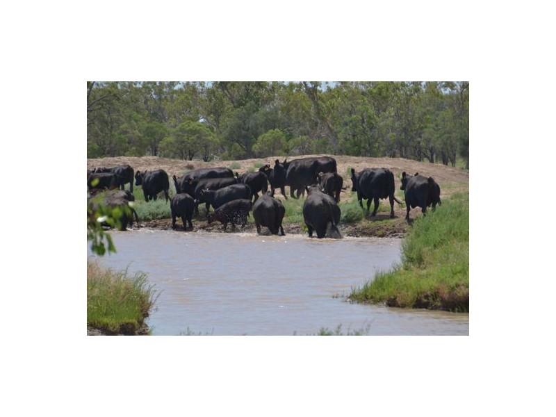“Malabar”, Walgett NSW 2832