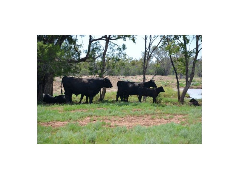 “Malabar”, Walgett NSW 2832