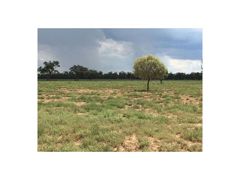 “Karinya” and “Part Bonnay”, Walgett NSW 2832