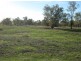“Briery”, Brewarrina NSW 2839
