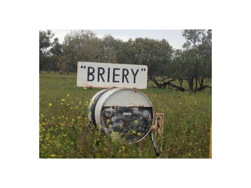 “Briery”, Brewarrina NSW 2839