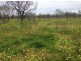 “Briery”, Brewarrina NSW 2839