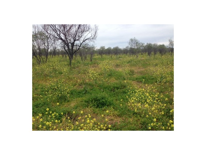 “Briery”, Brewarrina NSW 2839