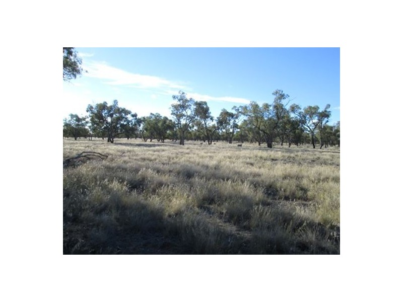 “Briery”, Brewarrina NSW 2839