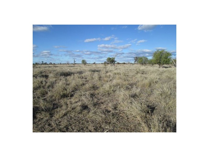 “Briery”, Brewarrina NSW 2839