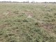 “Briery”, Brewarrina NSW 2839