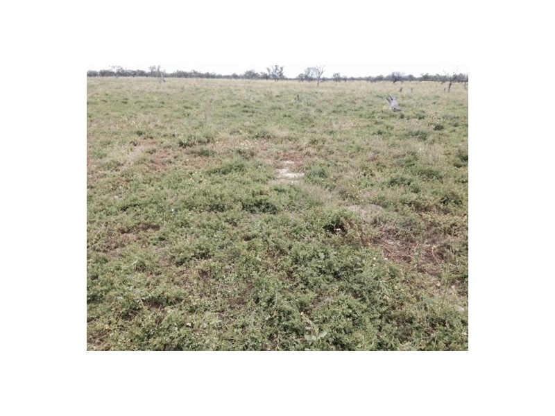 “Briery”, Brewarrina NSW 2839