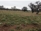 “Briery”, Brewarrina NSW 2839