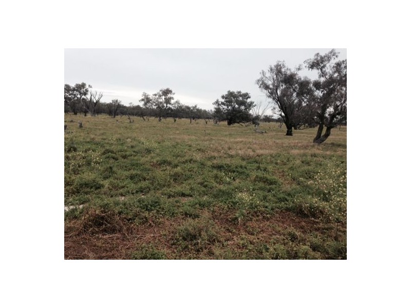 “Briery”, Brewarrina NSW 2839