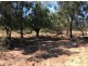 Pilliga NSW 2388