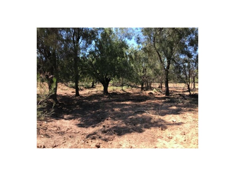 Pilliga NSW 2388