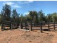 Pilliga NSW 2388