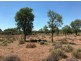 Pilliga NSW 2388