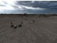 “Wee Warra”, Walgett NSW 2832