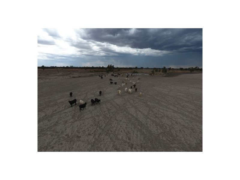 “Wee Warra”, Walgett NSW 2832