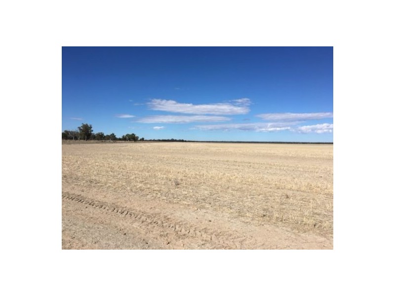 “Wee Warra”, Walgett NSW 2832