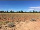 “Wee Warra”, Walgett NSW 2832