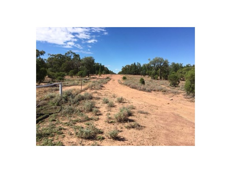 “Wee Warra”, Walgett NSW 2832