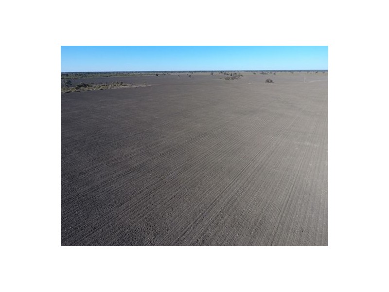 “Kia Ora”, Come By Chance NSW 2832