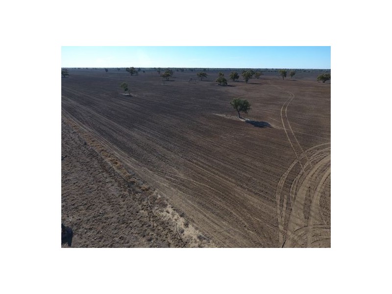 “Kia Ora”, Come By Chance NSW 2832