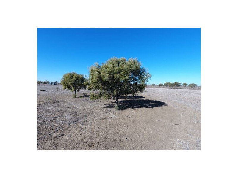 “Kia Ora”, Come By Chance NSW 2832