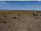 “Myallawa” Gungalman Road, Walgett NSW 2832