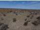 “Myallawa” Gungalman Road, Walgett NSW 2832
