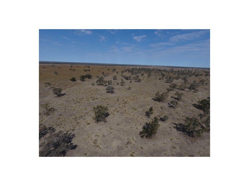 “Myallawa” Gungalman Road, Walgett NSW 2832