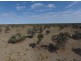 “Myallawa” Gungalman Road, Walgett NSW 2832