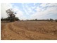 “Myallawa” Gungalman Road, Walgett NSW 2832