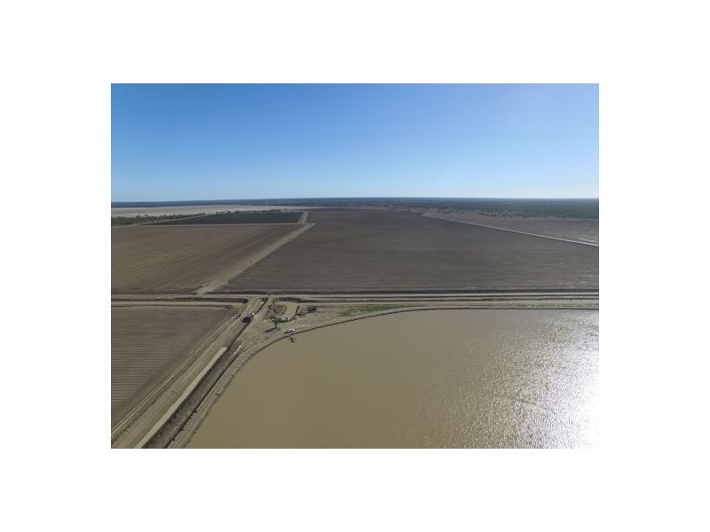 “Wimbleton”, Walgett NSW 2832