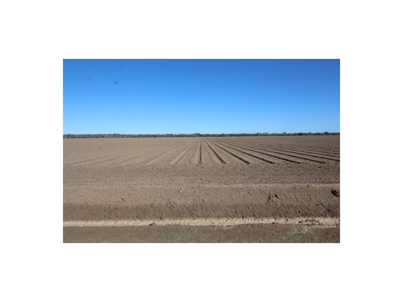 “Wimbleton”, Walgett NSW 2832