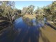 “Wimbleton”, Walgett NSW 2832