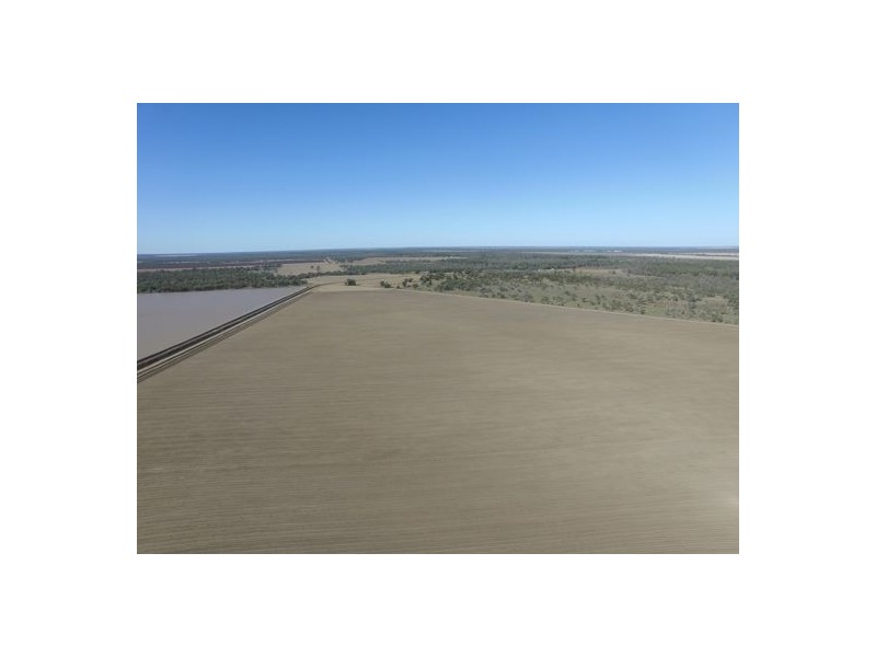 “Wimbleton”, Walgett NSW 2832
