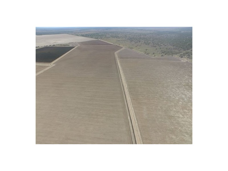 “Wimbleton”, Walgett NSW 2832