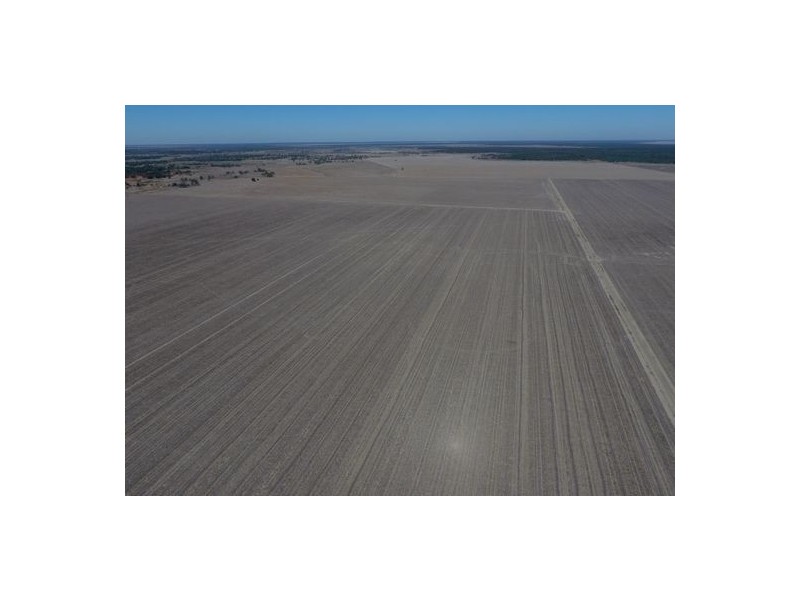 “Roxburgh”, Walgett NSW 2832