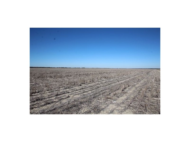 “Roxburgh”, Walgett NSW 2832