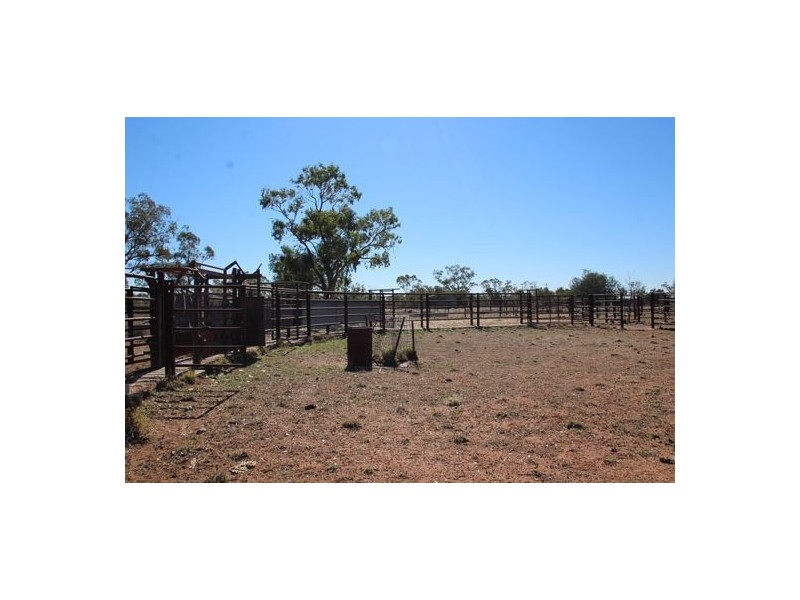 “Roxburgh”, Walgett NSW 2832