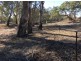 “Kentucky”, Walgett NSW 2832