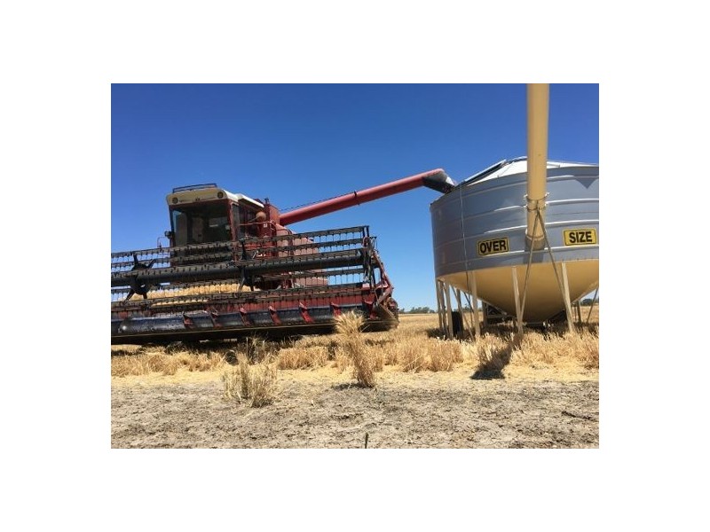 “Kentucky”, Walgett NSW 2832