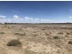 11765 Castlereagh Highway, “Belmont”, Walgett NSW 2832