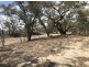 11765 Castlereagh Highway, “Belmont”, Walgett NSW 2832
