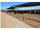 Kia Ora, Walgett NSW 2832
