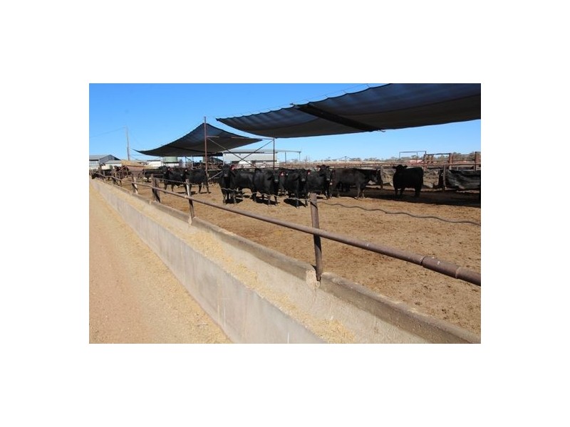 Kia Ora, Walgett NSW 2832